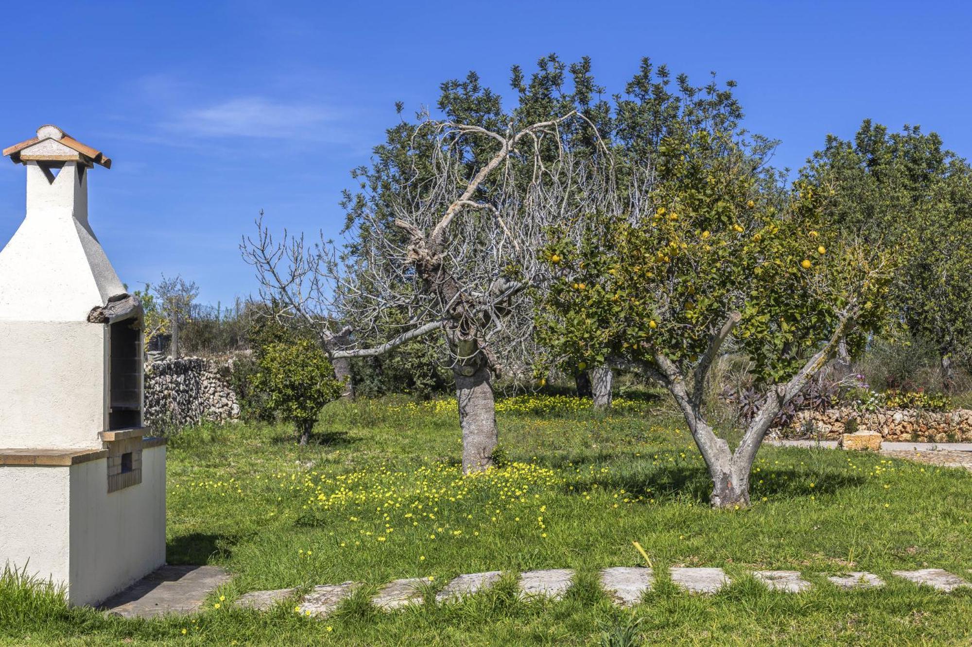 Finca Sa Torreta Guest House Santa Margalida Exterior photo